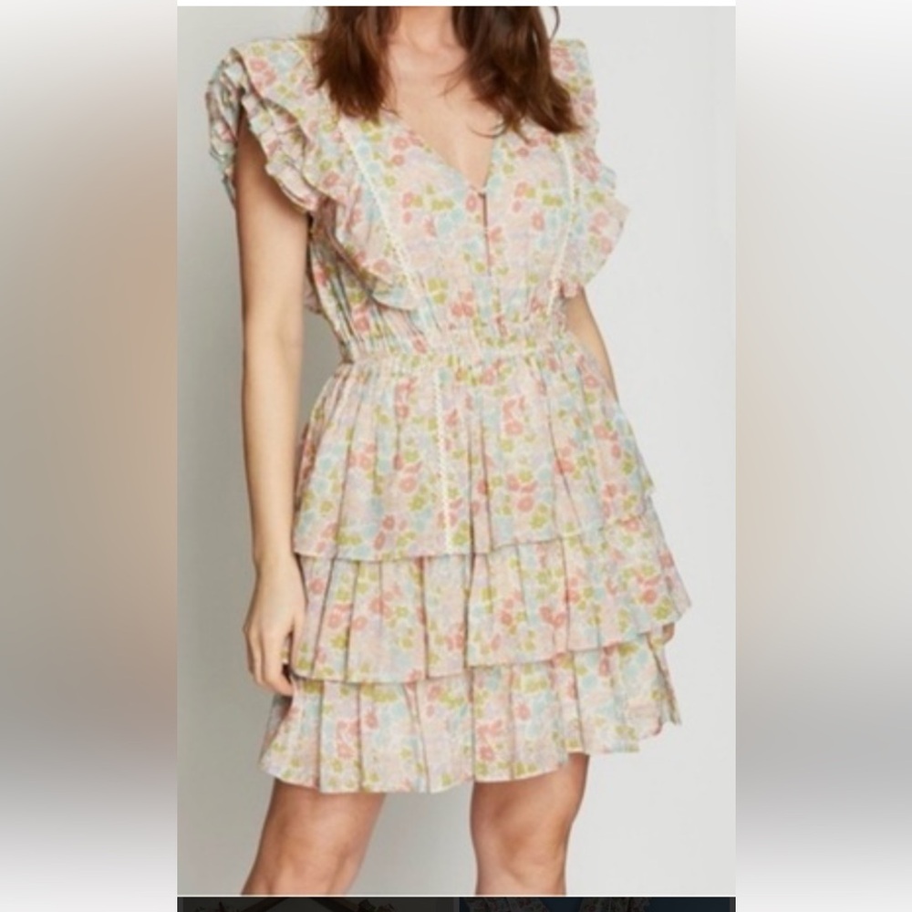 Anthropologie Love The Label Floral Ruffled Mini Dress  Fully Lined